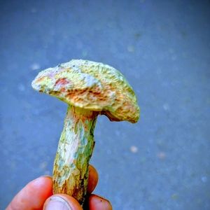 Meet your Posher, Eric